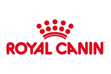 marcas de comida para perros y gatos